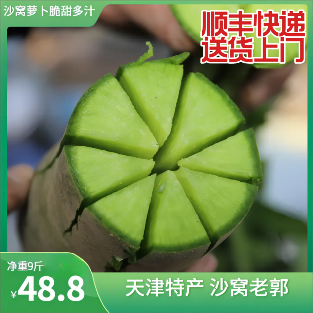 天津沙窝老郭郭芝振 七星沙窝萝卜 甜脆 净重9斤