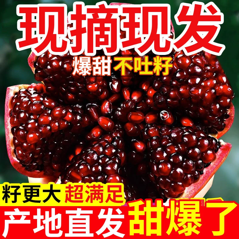 【四川会理】新鲜突尼斯【软籽石榴】应季水果纯甜爆汁皮薄肉厚包邮