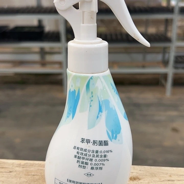 从前慢花园养护套装花枝俏