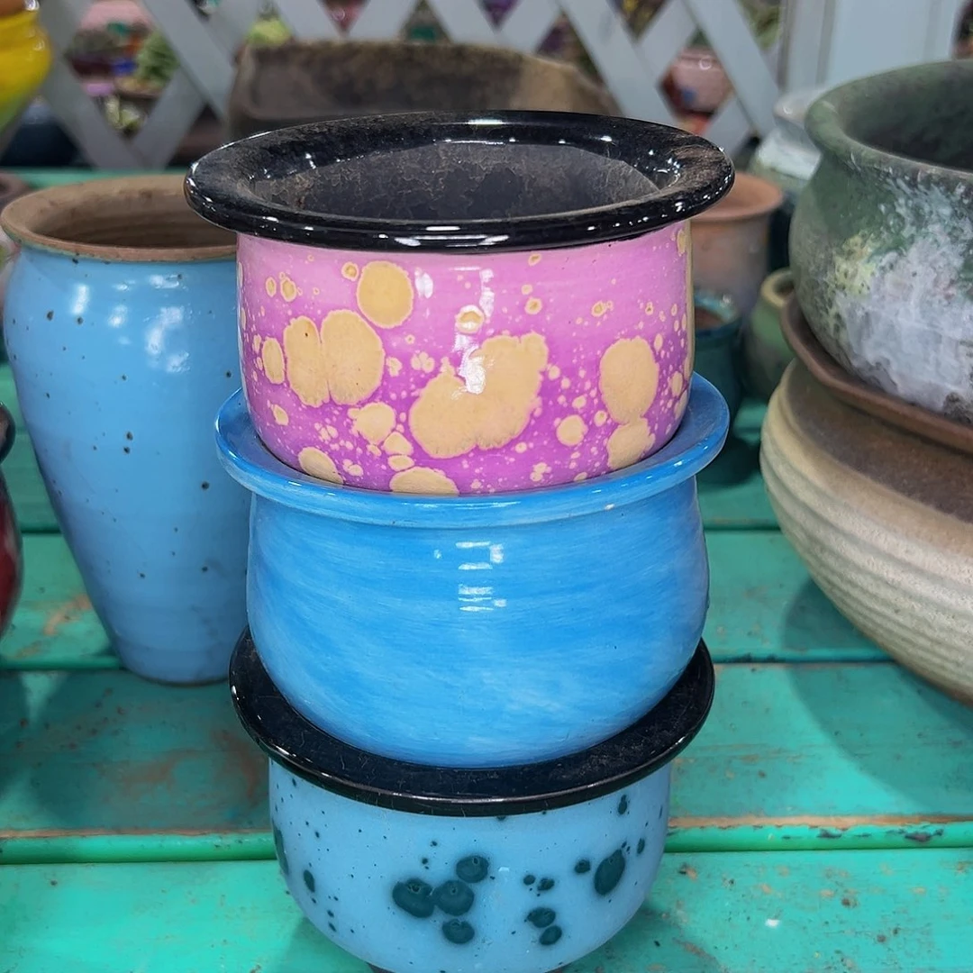 多肉一物一拍1027-185