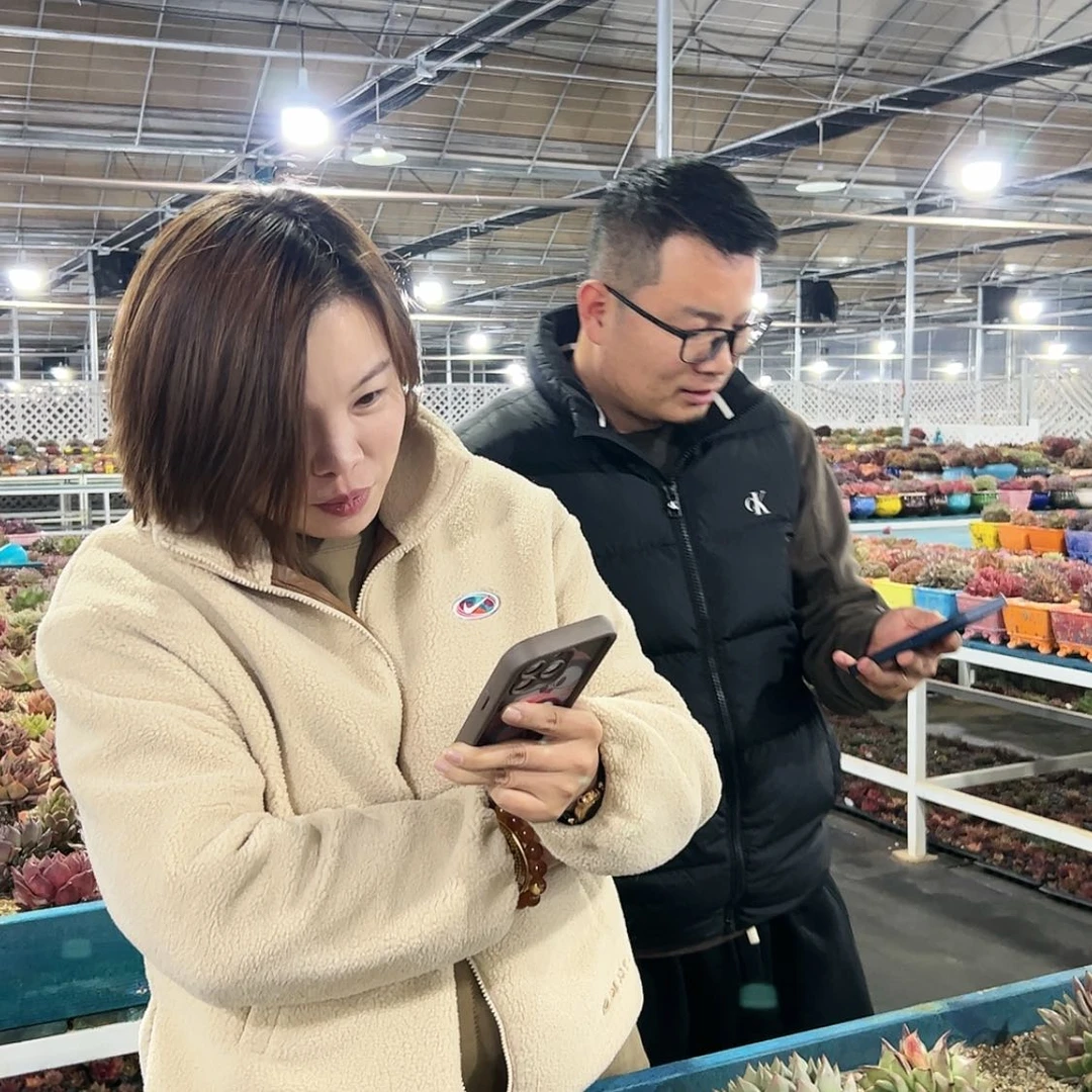 【闪购商品】笑笑土惊喜