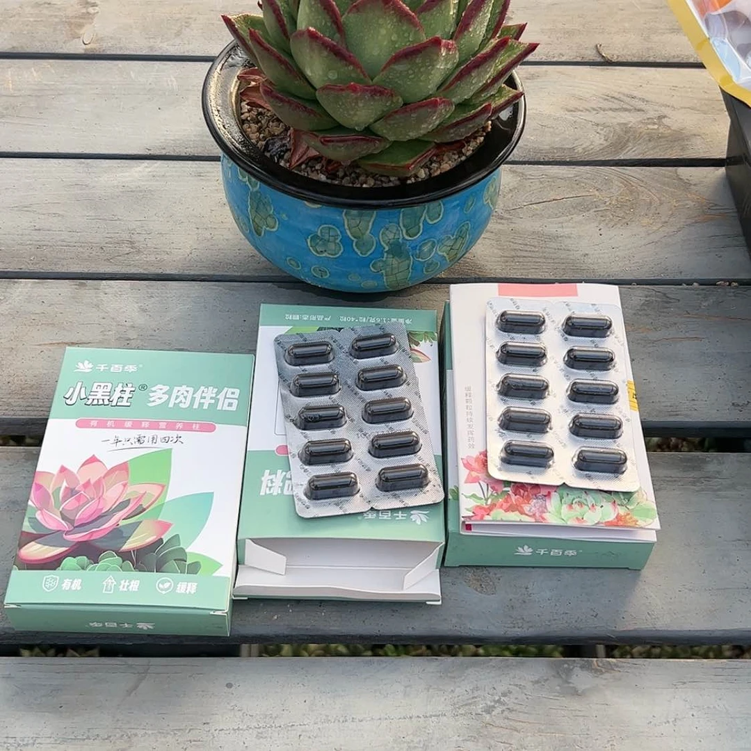 【闪购商品】小黑柱三盒