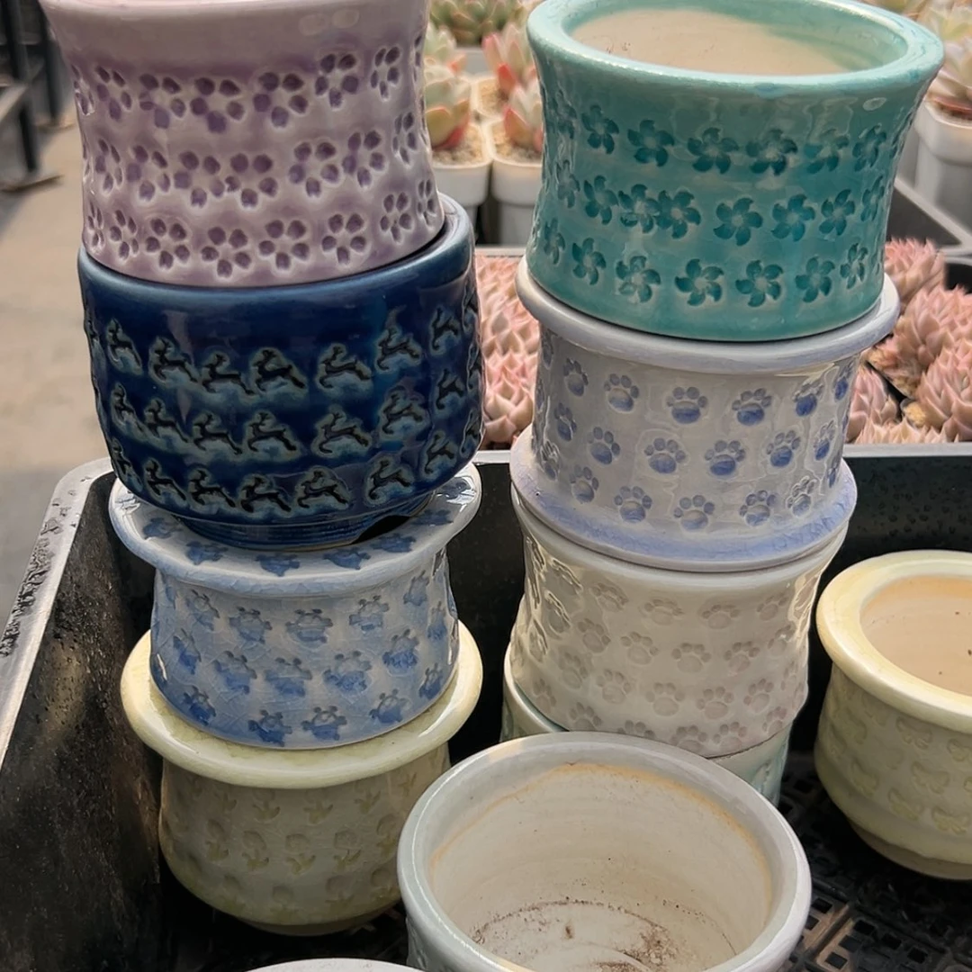【闪购商品】小盆盆