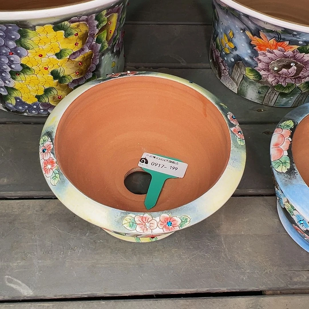 飞**天多肉一物一拍1007-199