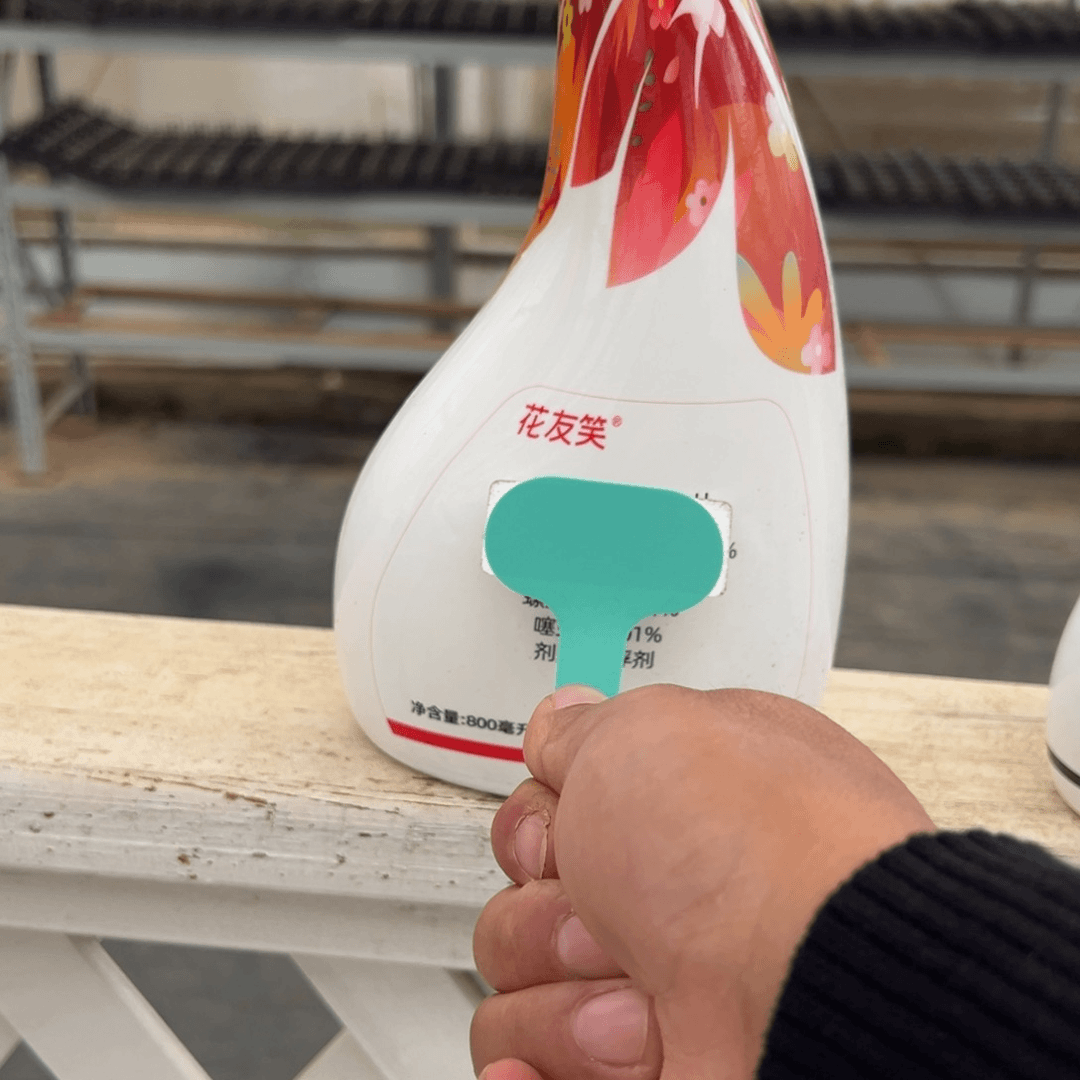 花友笑精品多肉编号0721-