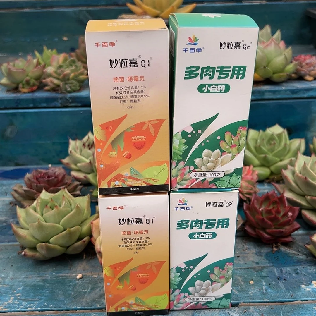 【闪购商品】养护 套装一