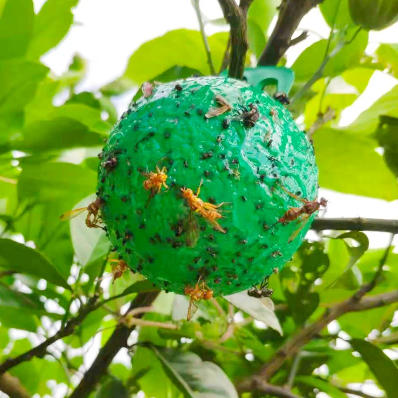 【从前慢花园】诱蝇球实捕蝇诱捕器诱粘剂引诱厨房小飞虫灭杀神器