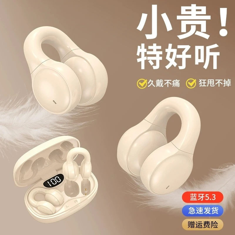 【大小杨推荐】2024新款无线降噪蓝牙耳机超长续航夹耳通用舒适运动
