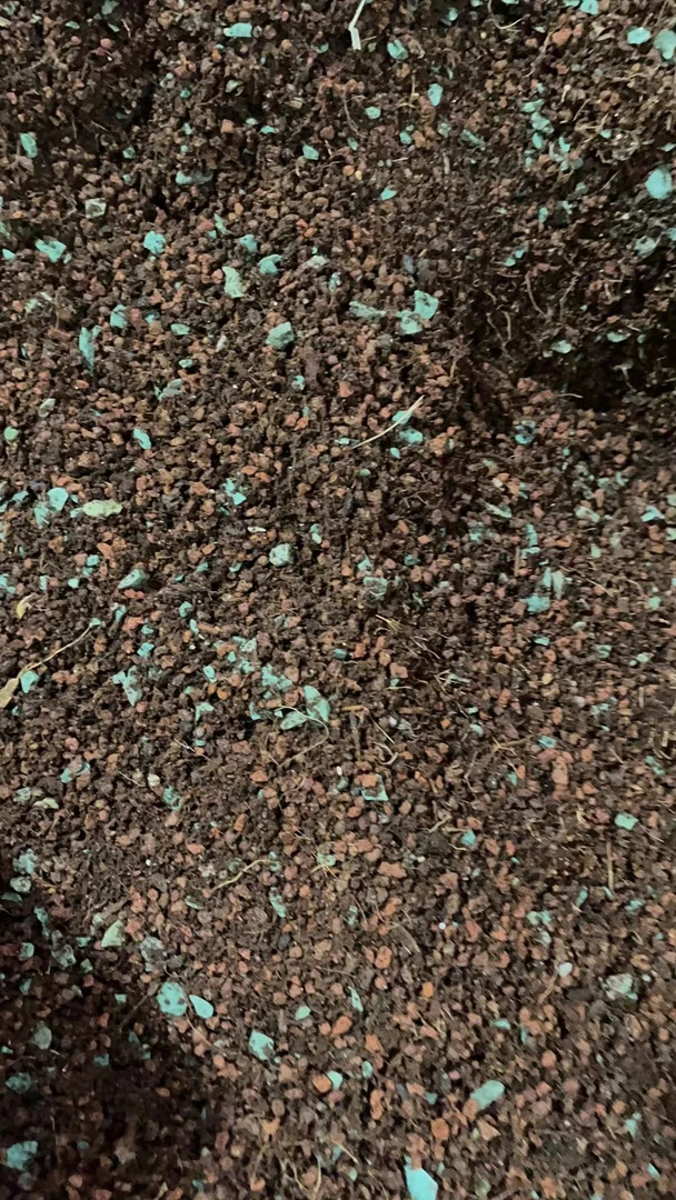 小喵喵多肉，自营配土链接