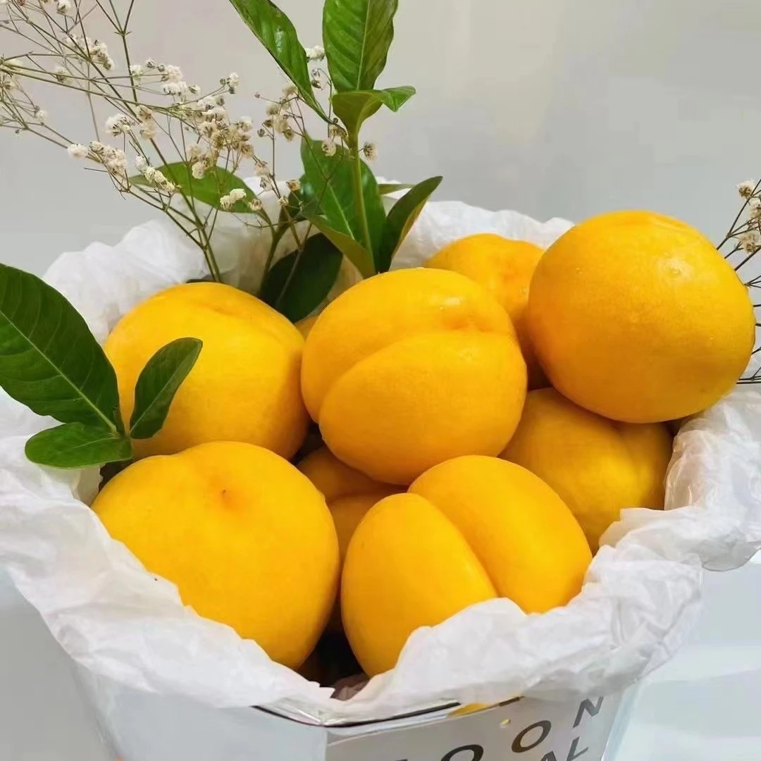 丹东河口黄金蜜桃3000g
