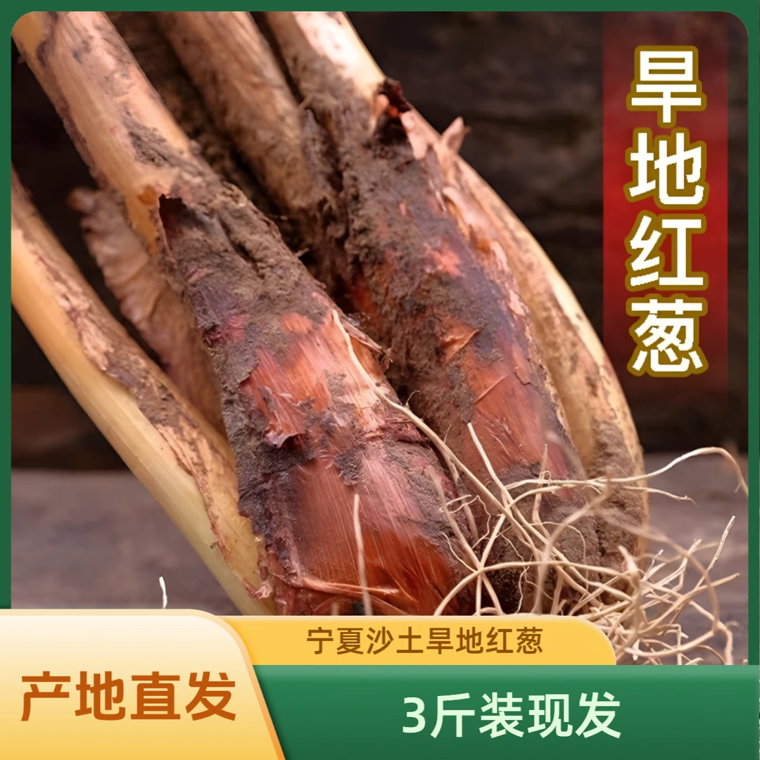 【农家自种】宁夏同心旱地红葱红皮大葱适合煮肉炒菜包饺子除膻去腥