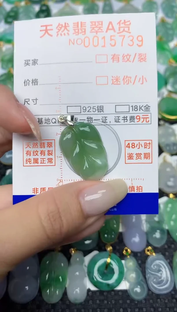 【闪购商品】翡翠颈饰未镶嵌4