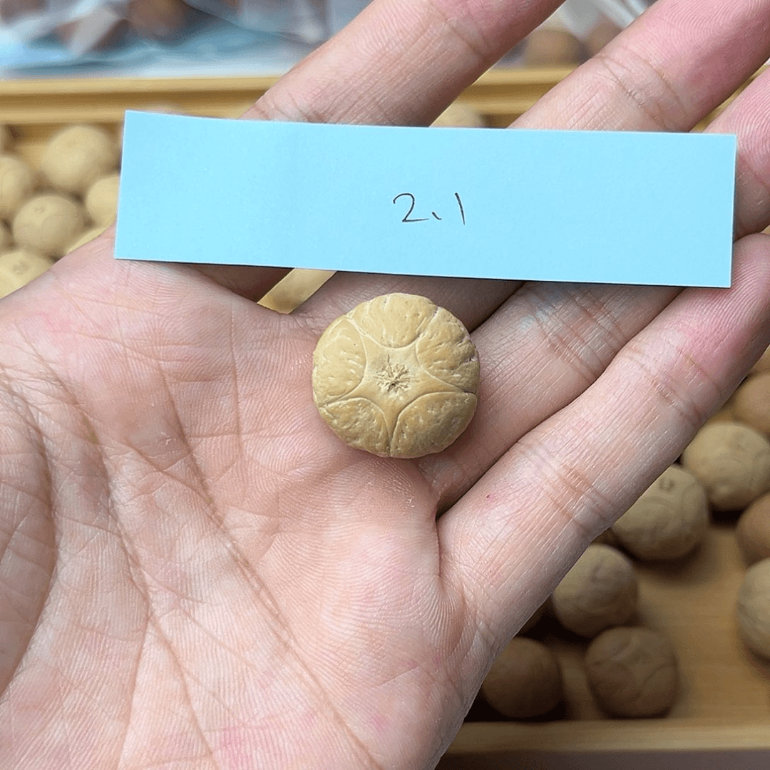 凤眼菩提手串五星新