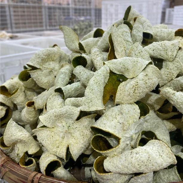 2024年新会天马圈枝二红皮