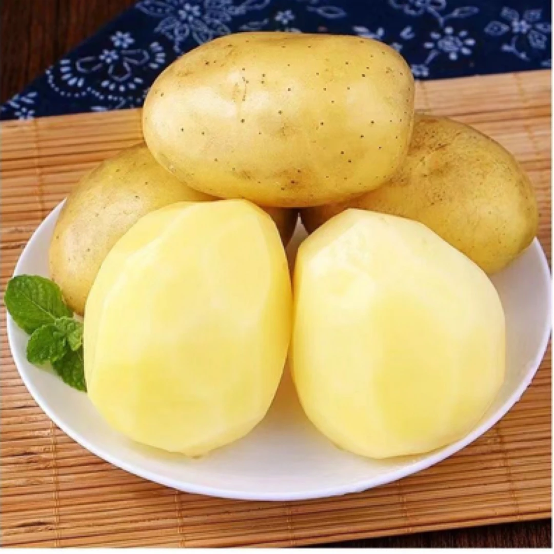 2024现挖新鲜陕北定边黄皮黄心土豆农家高原马铃薯老品种洋芋