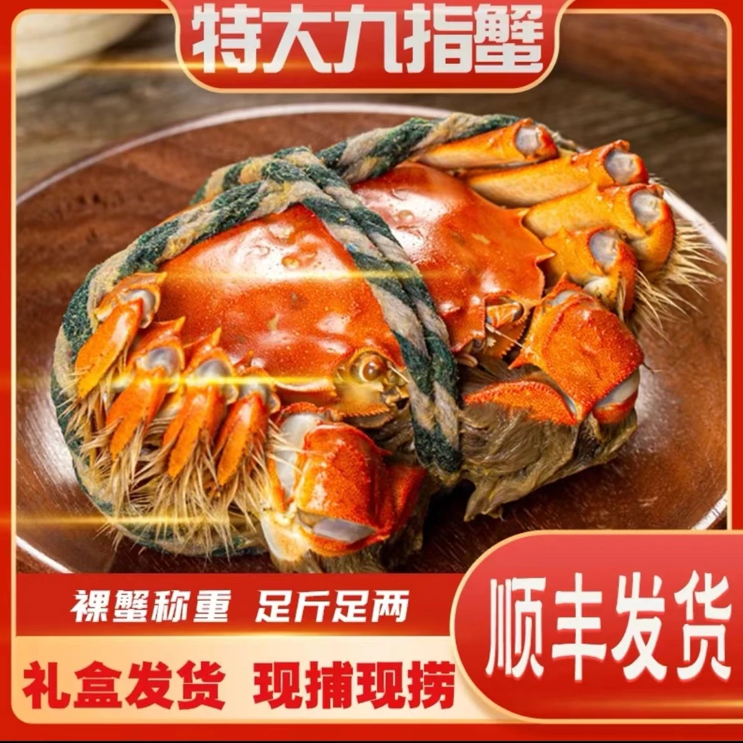 九指大闸蟹 全公蟹  4.7-4.4两左右 5/7/10只装 顺丰包邮