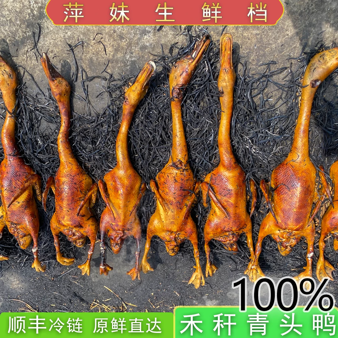 【3.5-4斤】禾秆鸭青头鸭