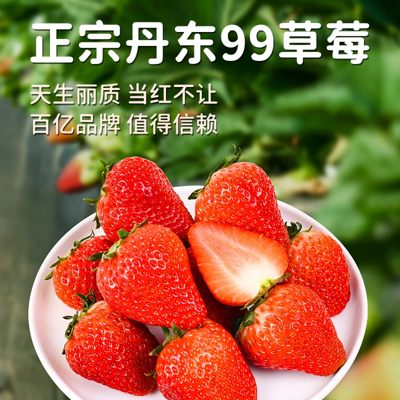 奶甜正宗东港丹东99大草莓真空包装当天新鲜采摘产地直发空运包邮