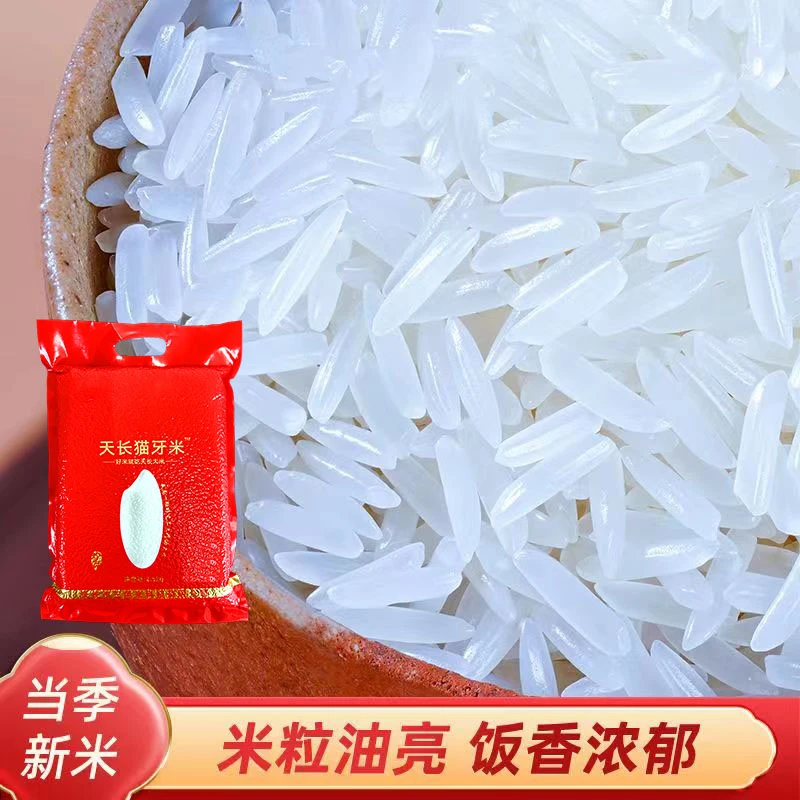 【精品猫牙米】6-7MM新米天长猫牙米香米现磨现发不打蜡农家长粒香