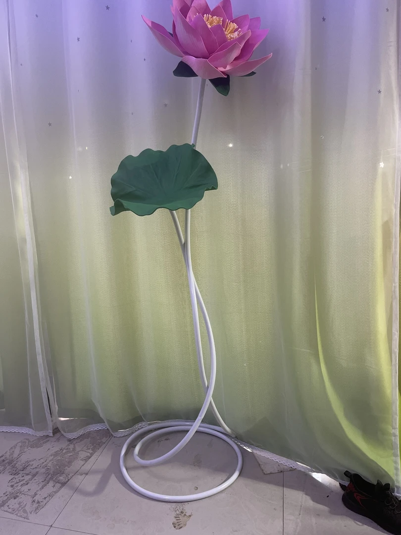 邓小州@好运莲莲@荷花粉