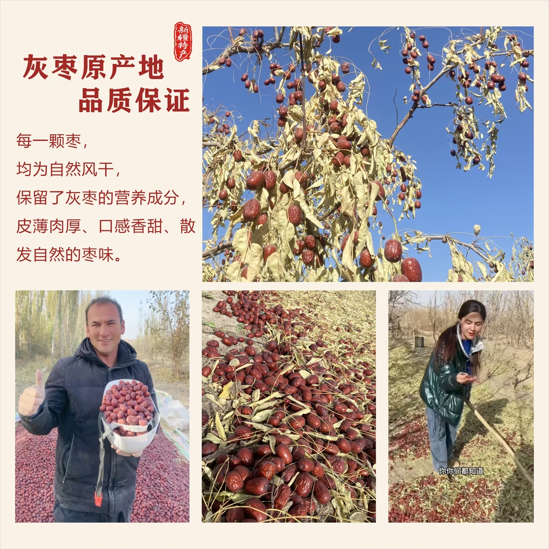 {新疆原产地发货}7-8成干戈壁滩灰枣原生态未清洗超特灰枣1500G