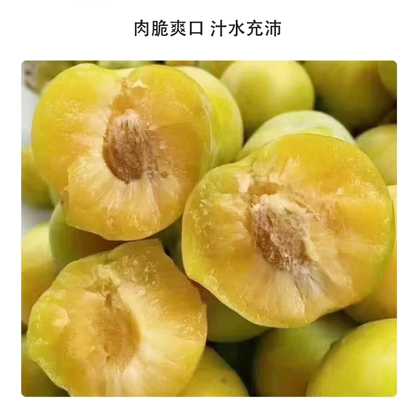 京东包邮汶川青脆李