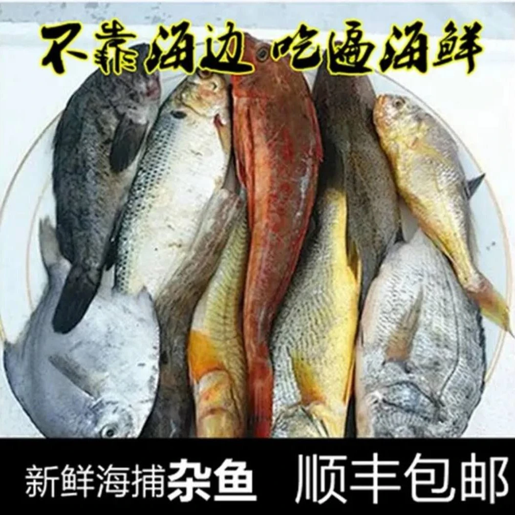 新鲜速冻深海海捕海杂鱼四斤净重发货多种捕捞去鳞营养美味鲜美