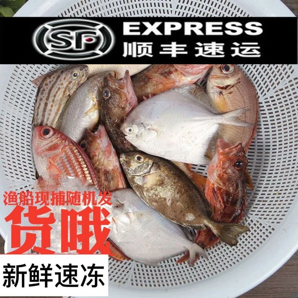 海杂鱼海鲜新鲜杂鱼整箱速冻杂鱼深海海捕海鲜大杂烩顺丰包邮