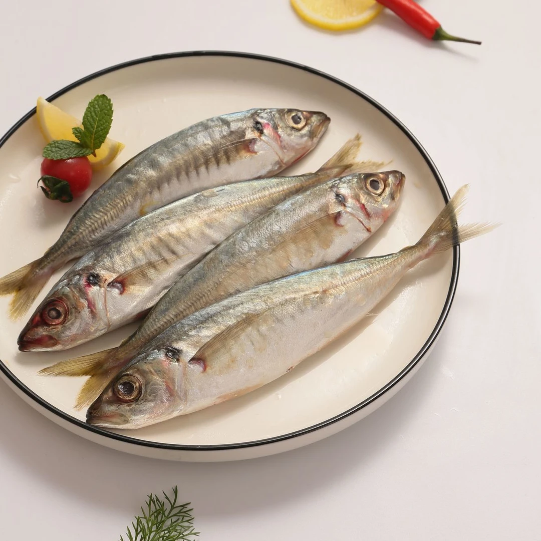 野生海捕巴浪鱼五斤 10-13条 冷冻海鱼海鲜批发冷冻海鲜五斤装