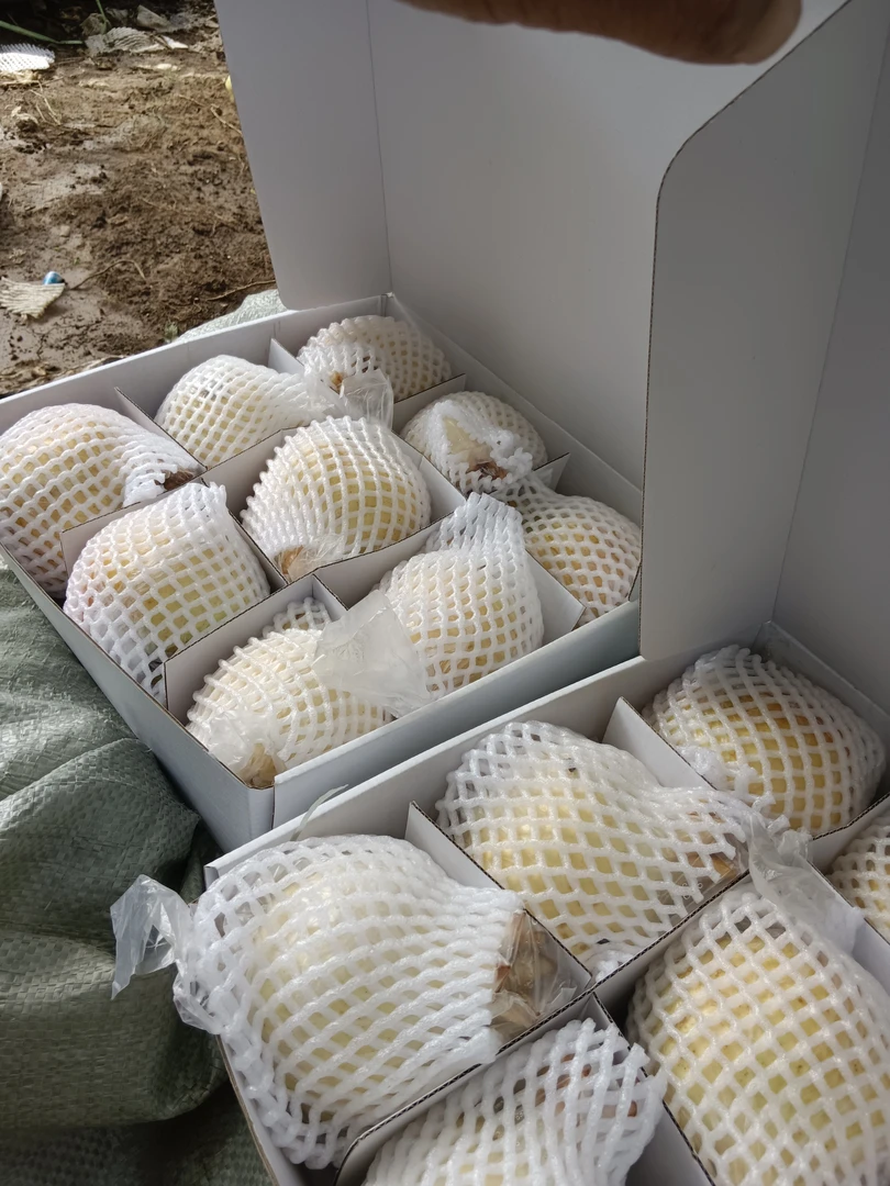 精品礼盒装，白花玉石籽石榴，现摘现发，假一陪十，送亲朋有面