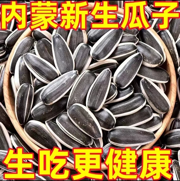【特价3斤 】内蒙古新货生瓜子薄皮葵花籽原味大瓜子特大颗粒香瓜
