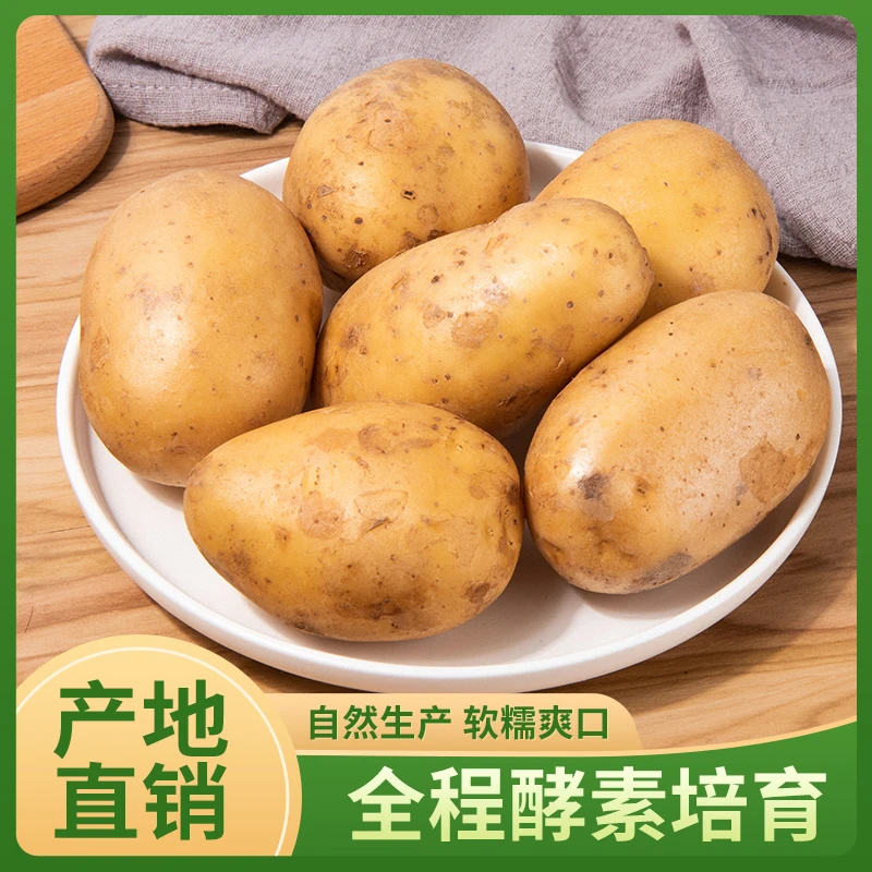酵素有机土豆马铃薯洋芋3斤【新鲜采收】有机蔬菜生鲜味甜好吃营养