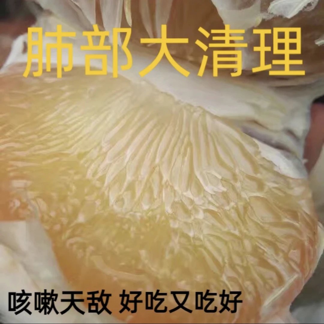 马站四季柚10斤20斤带箱老树果江浙沪皖包邮极寒慎拍