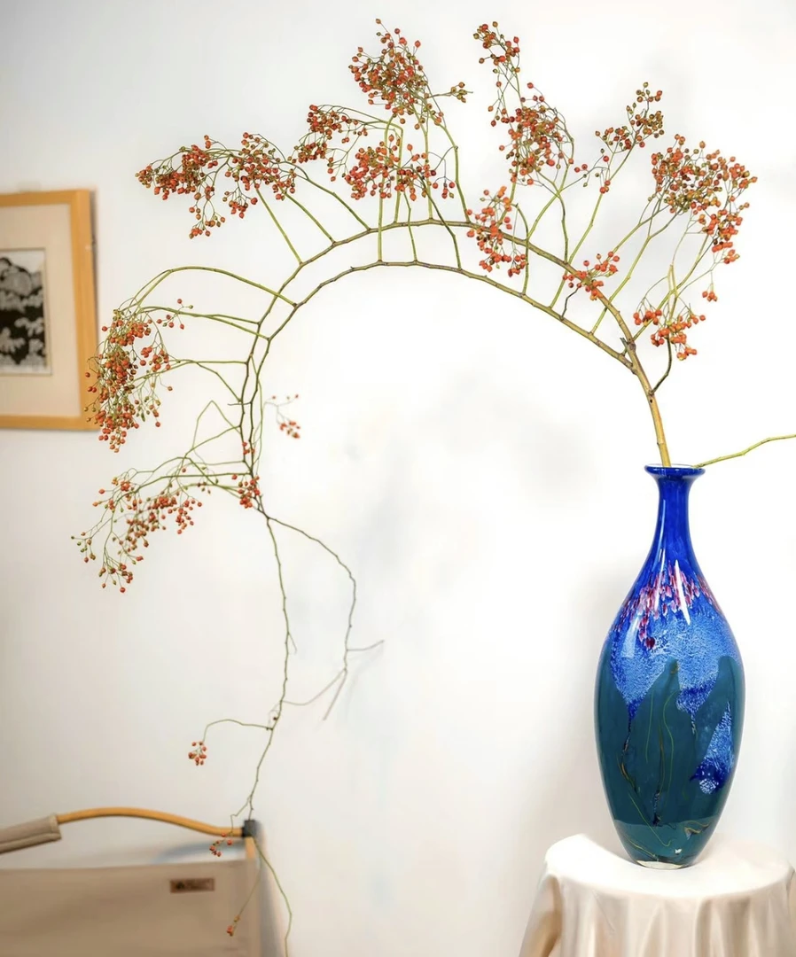 猴子姐姐的花-山归来 （任意两单顺丰包邮）