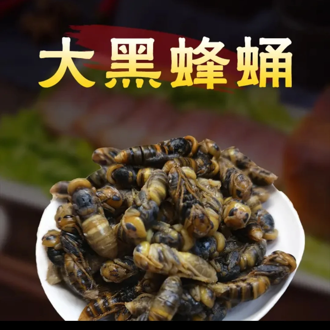 虎头蜂黑尾4级蜂勇新鲜冷冻蜂勇
