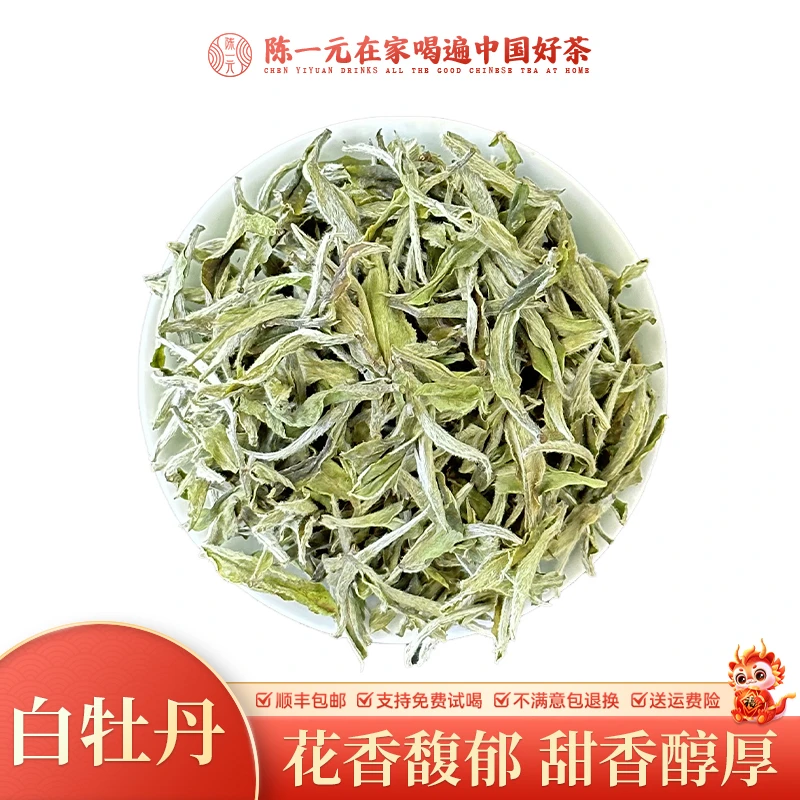 2024年新茶白牡丹福鼎白茶清甜醇爽花香馥郁散茶茶叶