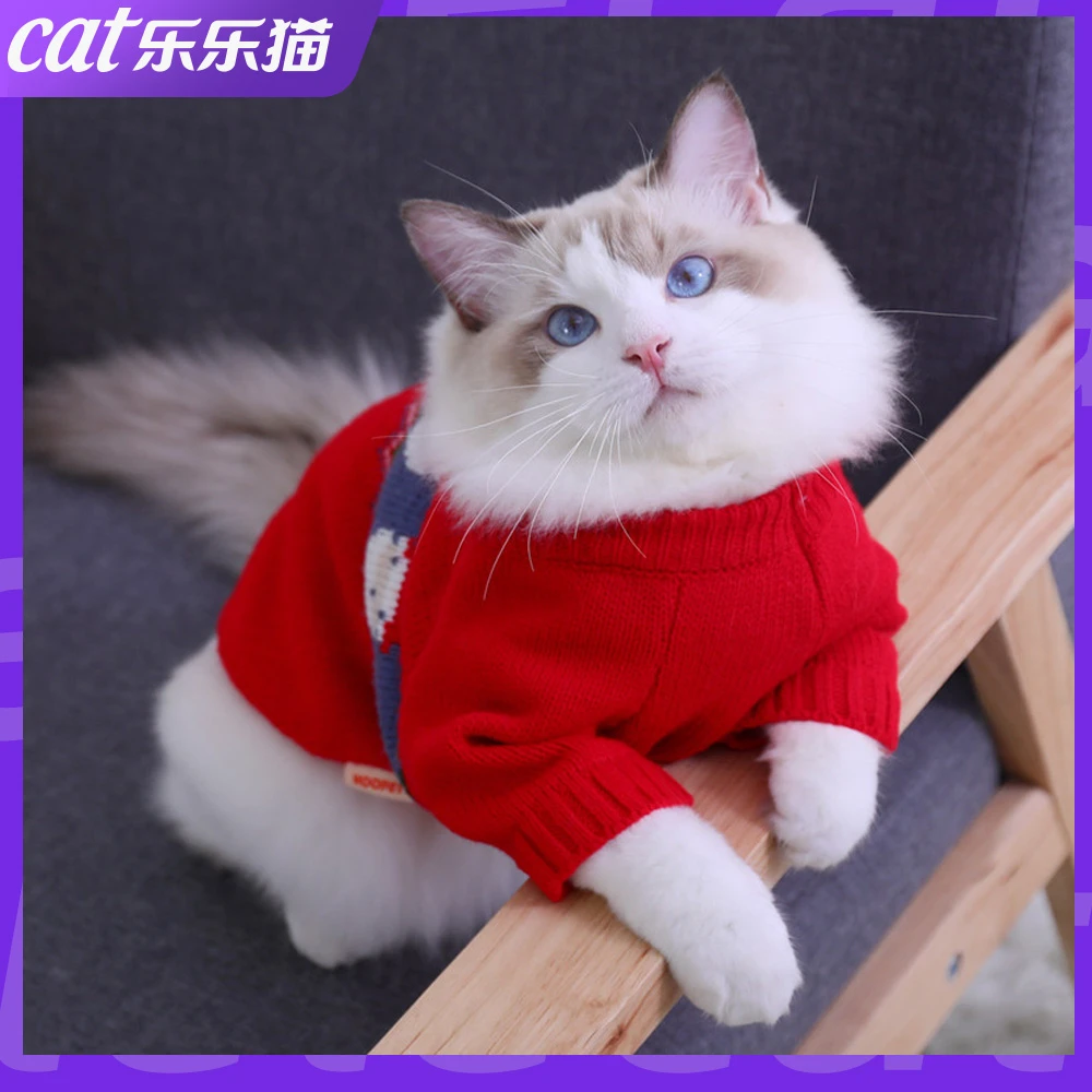猫咪衣服冬季可爱新年防掉毛秋冬宠物猫猫布偶猫英短小猫毛衣冬天