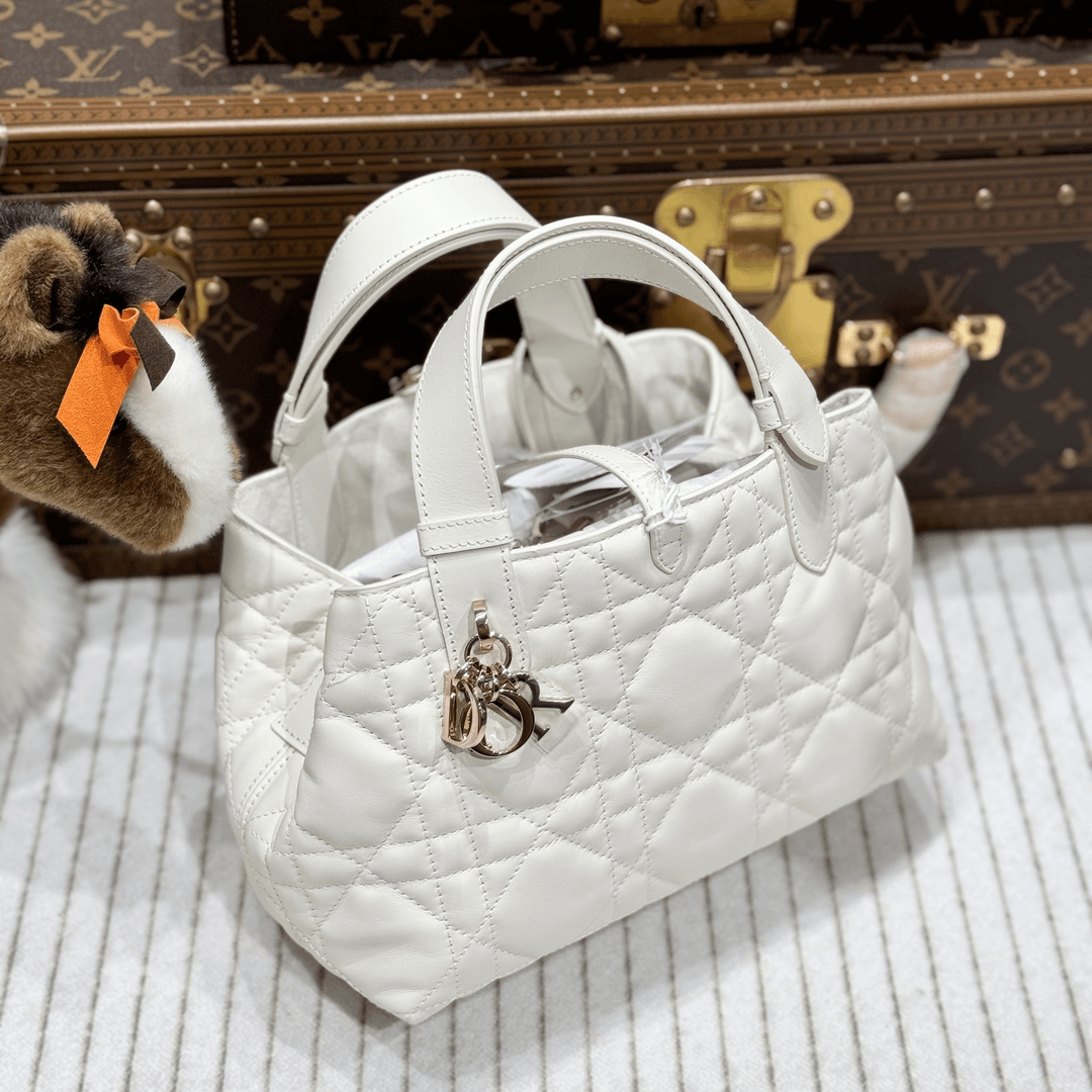 全新未使用 DIOR/迪奥 lina/迪奥toujours白色小号包