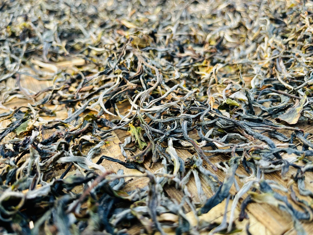 2020年龙山庙头春头采古树纯料普洱茶生茶散茶100g