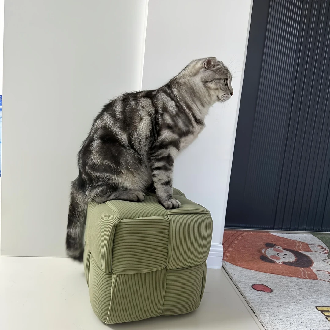 轻奢时尚可爱防水家用首饰盒极简皮质客厅创意个性高颜值单人北欧