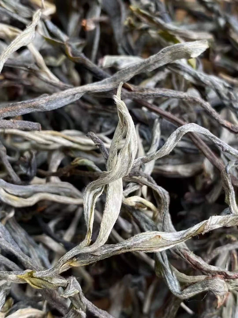茶样礼包随机