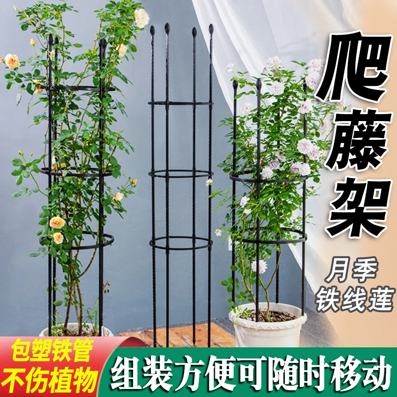 阳台月季花架爬藤架铁线莲蓝雪花花支架户外阳台室内园艺花盆架网