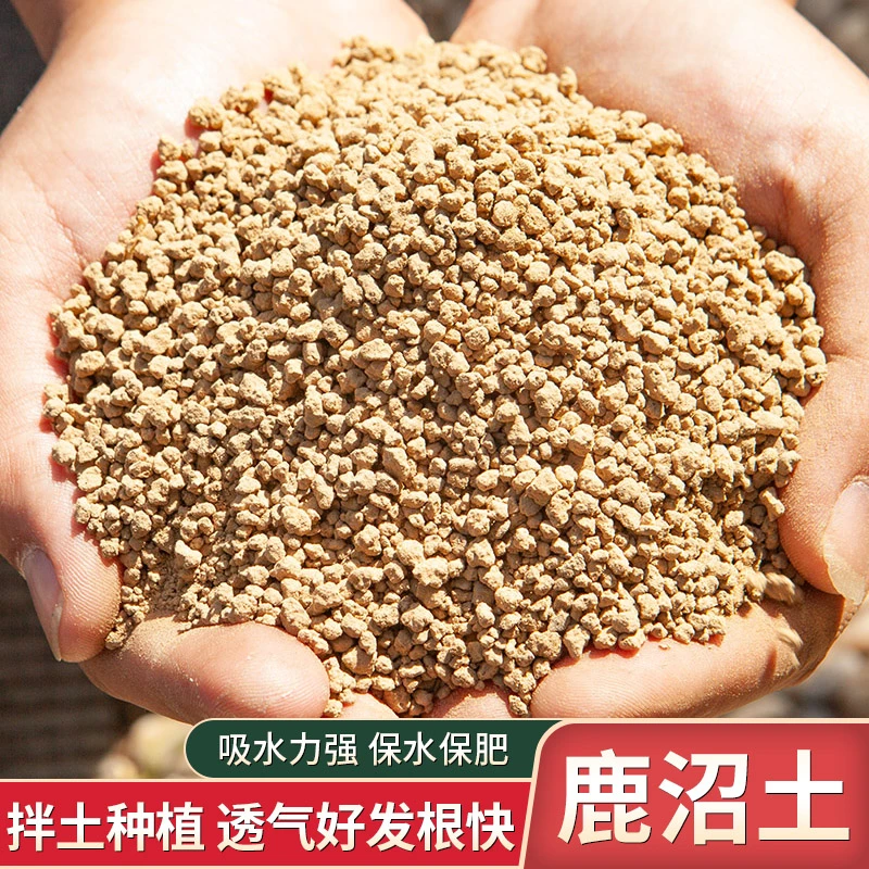 鹿沼土颗粒整包肉肉专用进口铺面石多肉植物盆景适用土