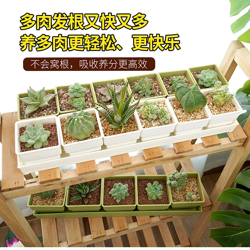 树脂多肉花盆大口径小白方组合带底座托盘塑料透气植物专用控根盆