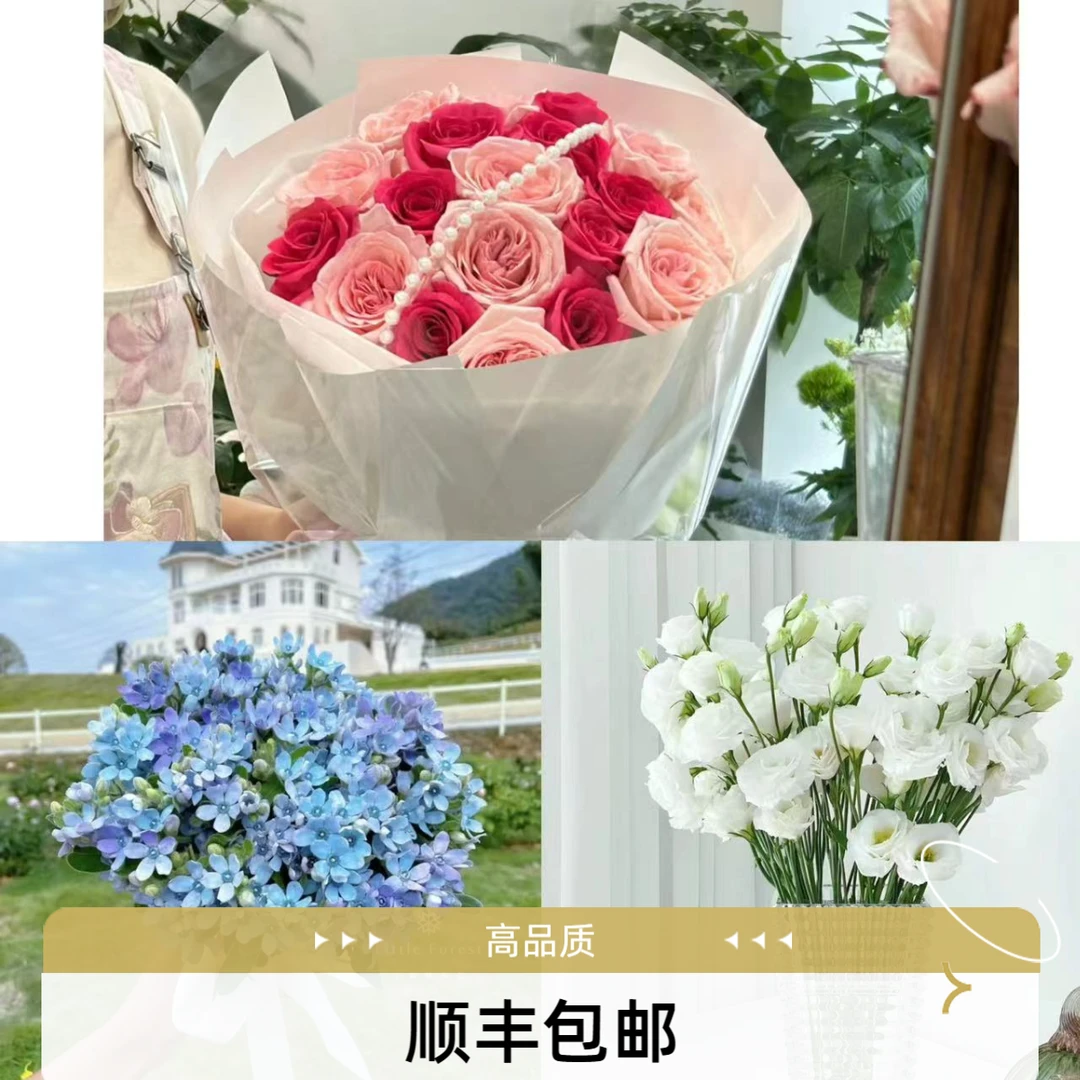 【顺丰包邮】弗洛伊德10枝+粉荔枝10枝+白洋桔梗400g+蓝星花1扎（坤）