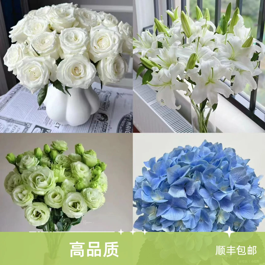 【顺丰包邮】骄傲10枝+白色百合10个花苞+绿色洋桔梗+蓝色绣球（坤）