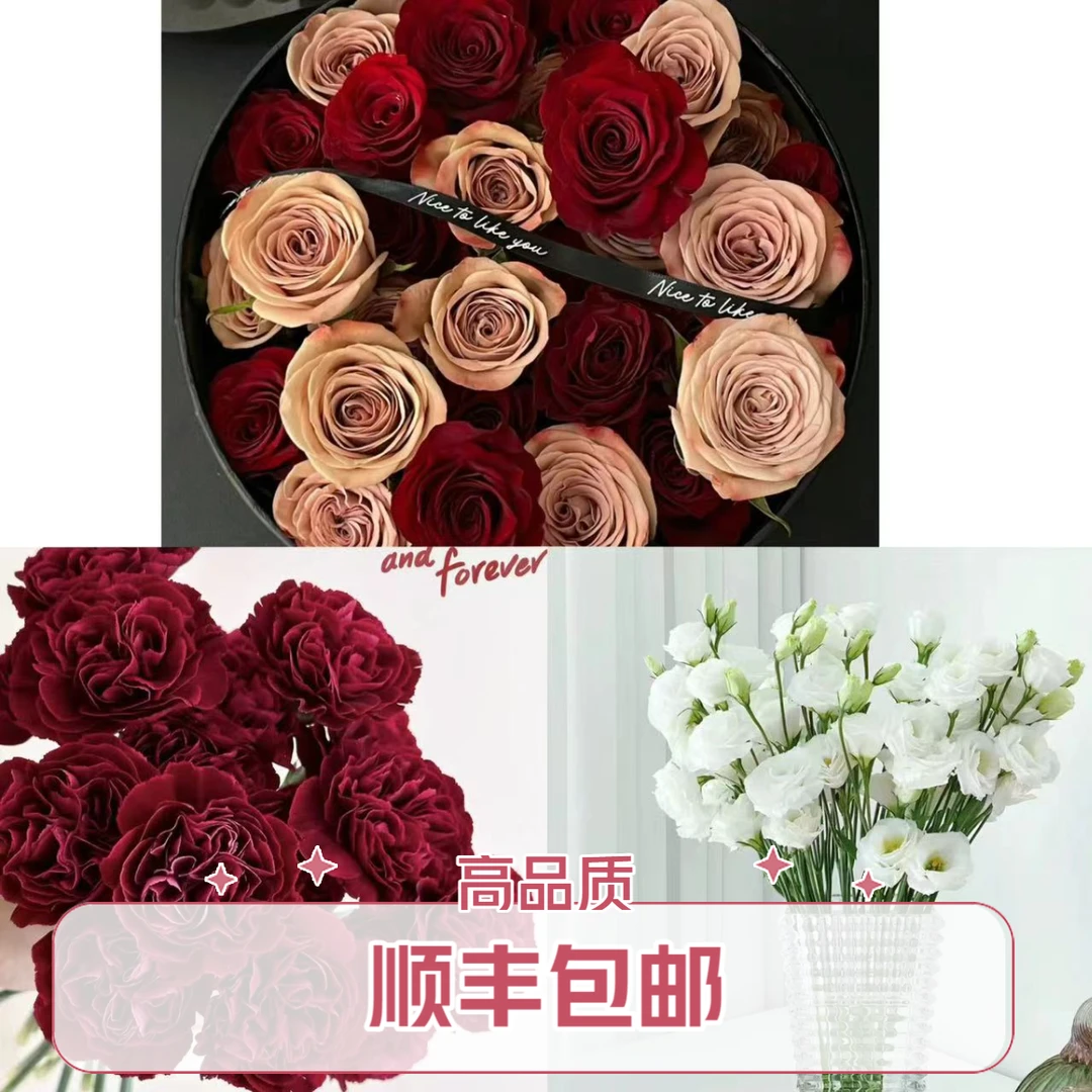【顺丰包邮】卡布奇诺10枝+高原红10枝+红绸康乃馨+白色洋桔梗（坤）