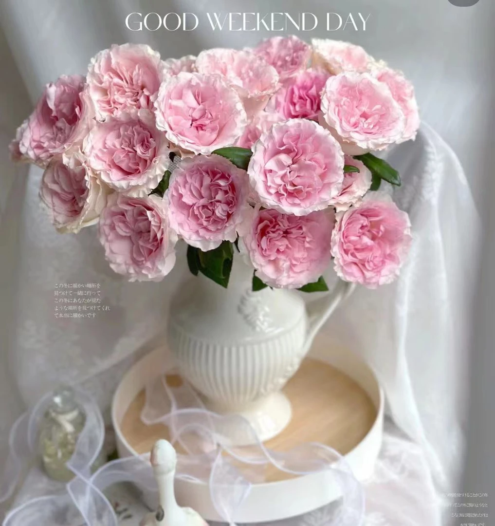 【洛神】洛神20枝玫瑰，能开成大饼能开炸 全场任意两单鲜花包邮（涛）