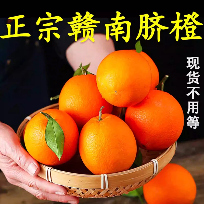 正宗赣南脐橙应季水果新鲜橙子产地直发大果现摘现发江西特产送礼