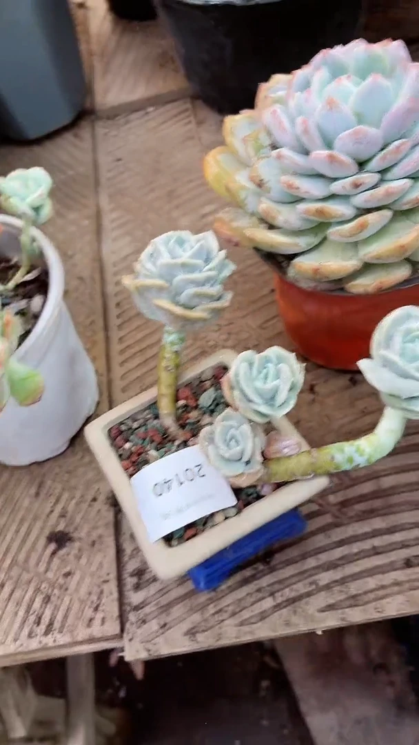 【闪购商品】20140